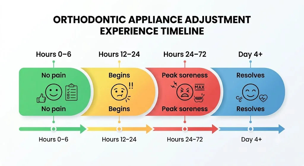 Timeline showing braces adjustment soreness peaking at 24-72 hours, not the day of the appointment