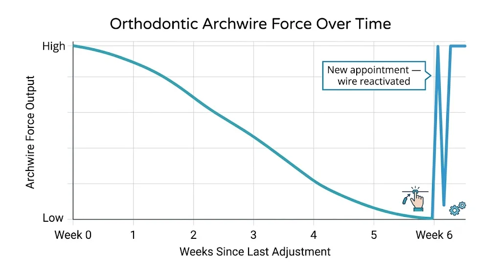 Graph showing archwire force output declining over 6 weeks as teeth align, then spiking at reactivation